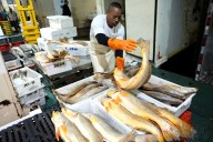 Brazil creates fewer formal jobs than expected in October