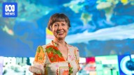 Aerosol physicist Lidia Morawska wins 2025 Prime Minister's Prize for Science