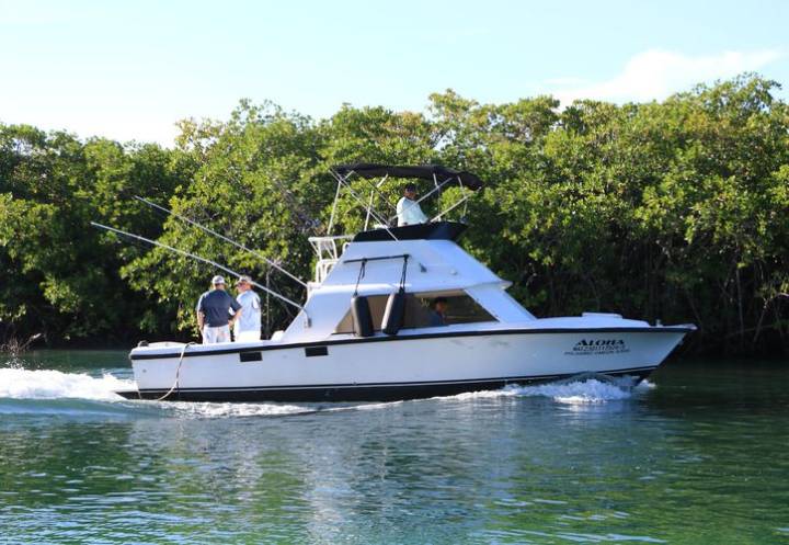 Náuticos, esperanzados en repunte de fin de año en Cancún