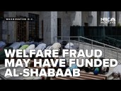 Federal investigators warn Minnesota welfare fraud may have helped fund AI Shabaab