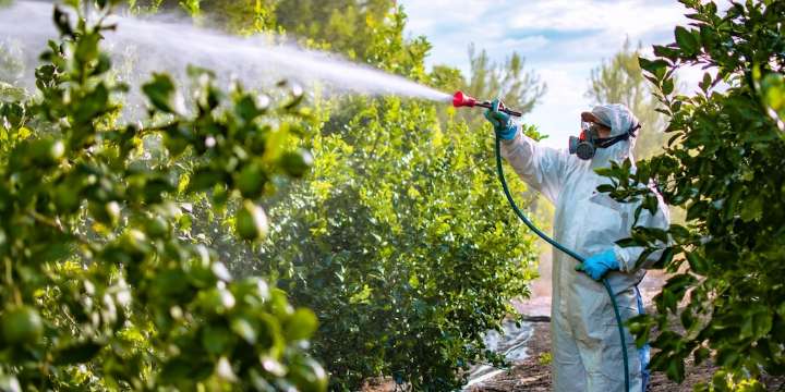 Indecopi interviene supermercados por frutas y verduras con pesticidas prohibidos: sanciones podrían llegar a más de S/ 2 millones
