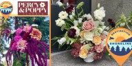 Business Spotlight: Percy & Poppy: Handcrafted Florals That Bring Joy & Creativity to Shoreline