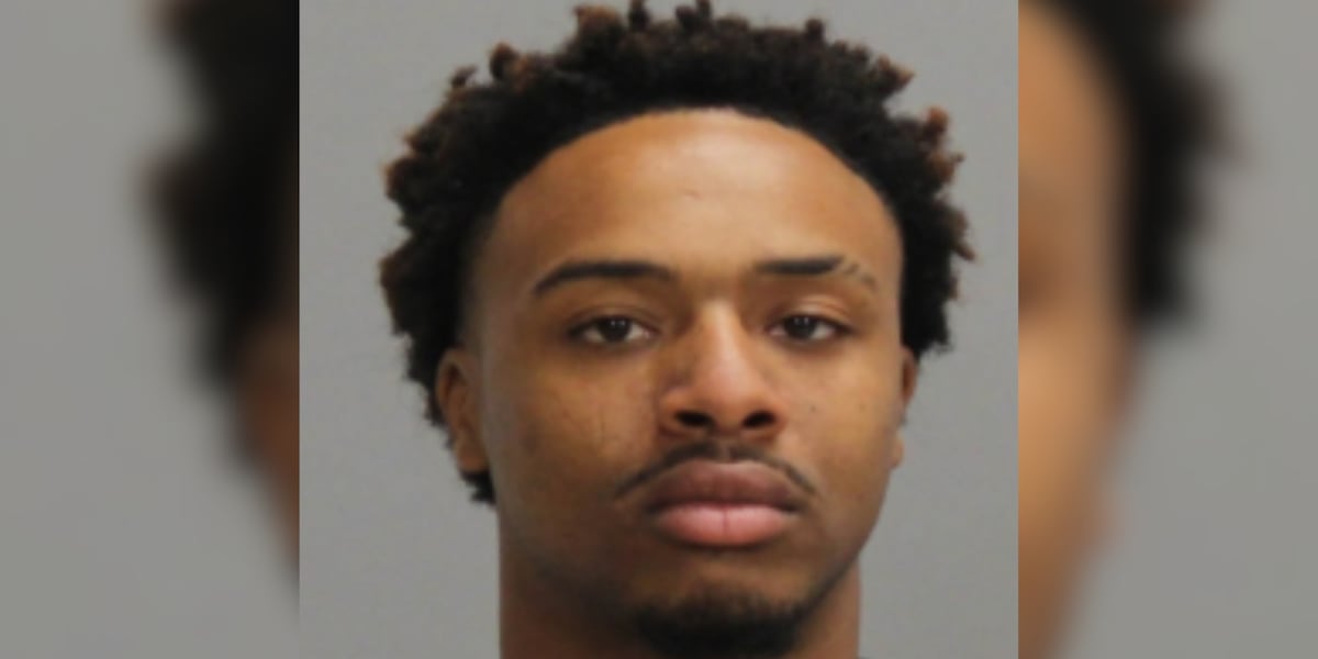 Man tries to flee Brazos County courtroom after receiving prison sentence