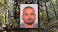 Volusia deputies search for man who fled in stolen car, hid in swamp