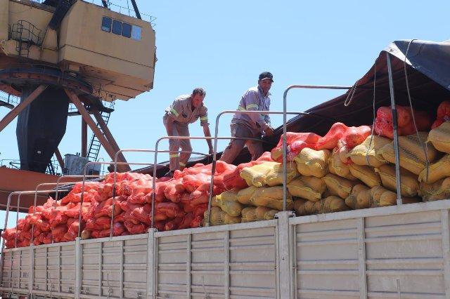 Histórico: el Puerto de Barranqueras envía a uruguay su primera carga de zapallo chaqueño