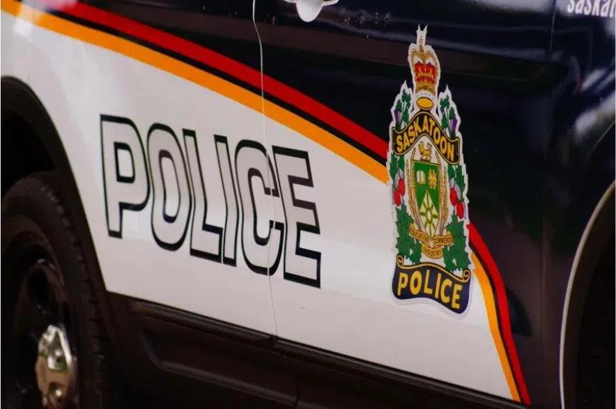 Saskatoon police briefs: Charges follow dog, weapons found in stolen car