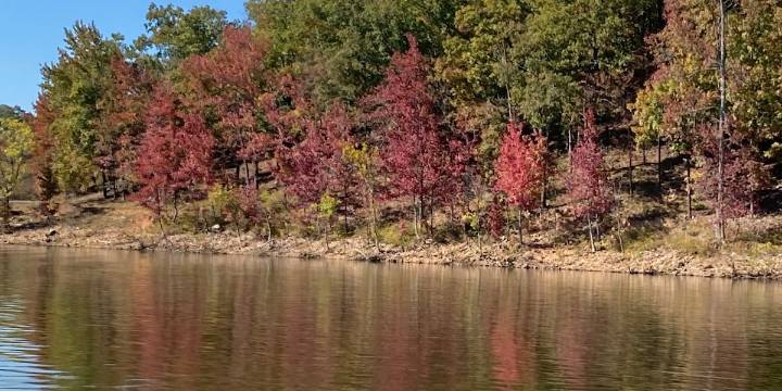 First Alert: Slightly warmer before cold blast arrives