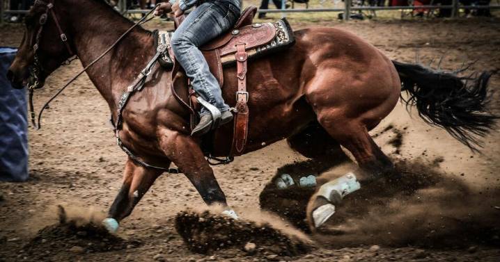 Prairie ProRodeo Circuit finals in Mulvane canceled amid Equine Herpesvirus outbreak