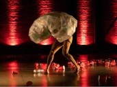 “Polimeratus”, un reino construido desde la basura