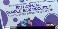 Caddo Parish DA's Office brings record donations for abuse victims through Purple Box Project