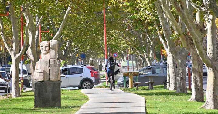 Nueva bicisenda en Cipolletti: licitan obras por $702 millones en calle San Luis