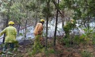Se extinguió el incendio en el Parque Nacional Los Alerces
