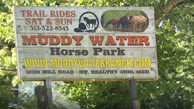 Springfield Township ranch owner appears in court over animal cruelty charges