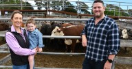 Tara Hart reinvents family farm with cattle success at Braidwood