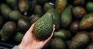 How to ripen avocados in just one day using a common kitchen fruit