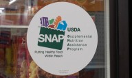 When Will SNAP Benefits Resume? Updated Timeline for November Payments