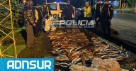 18:35 Ruta 40: un operativo terminó con 170 truchas secuestradas por pesca ilegal