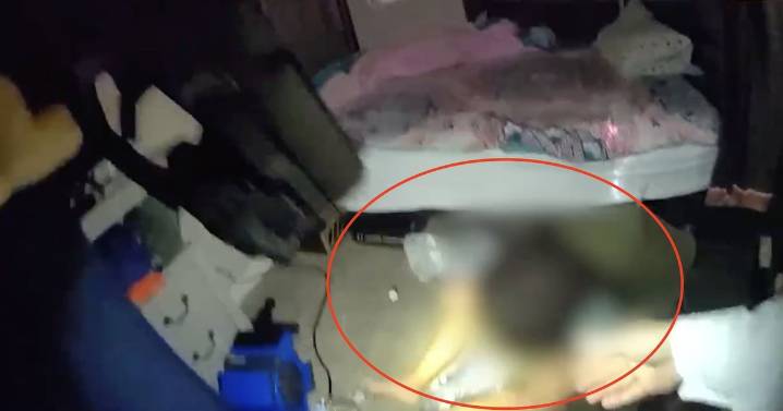 Knifeman who choked his seven-year-old little brother shot dead by police