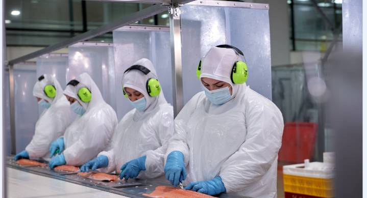 La tasa de desocupación en la Región de Aysén fue 4,7% en el trimestre julio