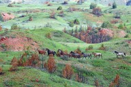 Reconstructed road opens grand views at Theodore Roosevelt National Park in North Dakota
