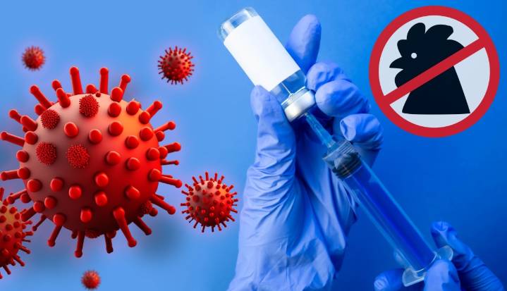 Confirman primera muerte de humano infectado por la cepa H5N5 de la gripe aviar