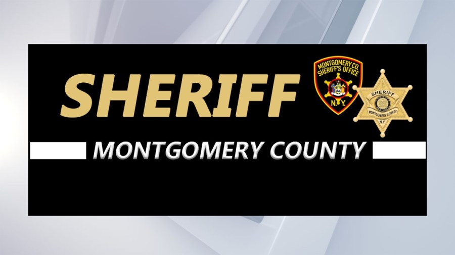 Fonda woman accused of hitting man with stolen car