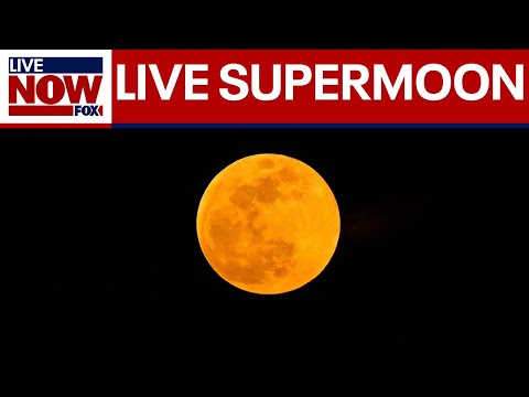LIVE: Supermoon 'Beaver Moon'