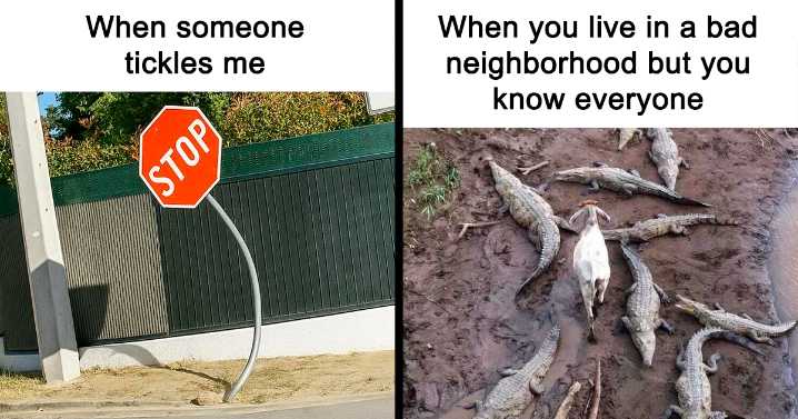 47 Memes That Are So Relatable They’re Actually Offensive