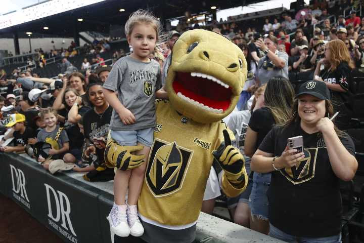 Knight Flights launches as an innovative, first-class way to travel to select VGK road games