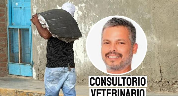 Pancho Cavero sobre tiburón hallado en Piura: “Cada animal que perdemos es una oportunidad menos para aprender”
