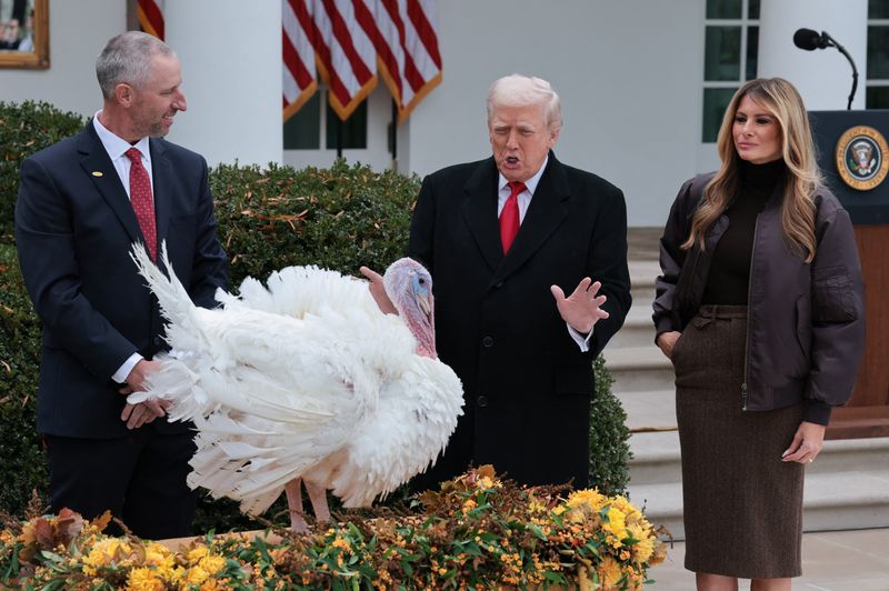 Trump adds Thanksgiving turkeys Gobble and Waddle to his long pardon list