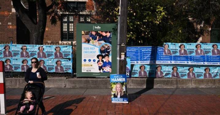 'Crossed a line': election volunteers plead for changes