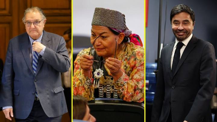 Elecciones de senadores en La Araucanía: Rodolfo Carter con Vanessa Kaiser triunfan y lucha Elisa Loncón