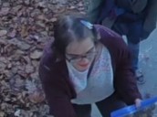 Woman convicted in notorious 'Slender Man' attack goes missing in Wisconsin