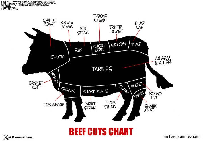 CARTOON: Higb costs | Michael Ramirez