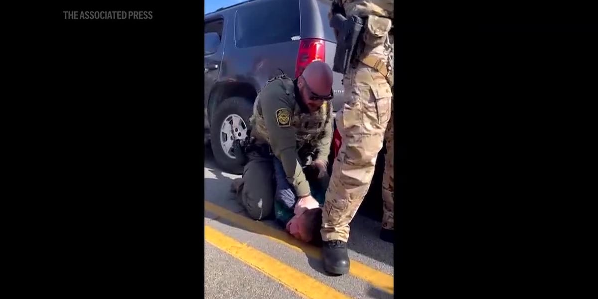 Video shows immigration agent punching restrained man after car collision turns into confrontation