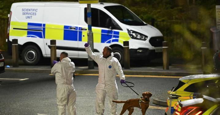 Everything we know about Huntingdon train stabbings suspects