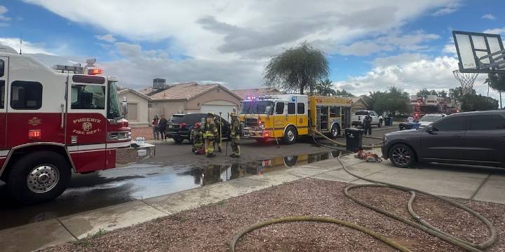 2 dogs die, another rescued from house fire in west Phoenix