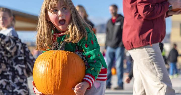 In focus: The best images from the Independent Record last week