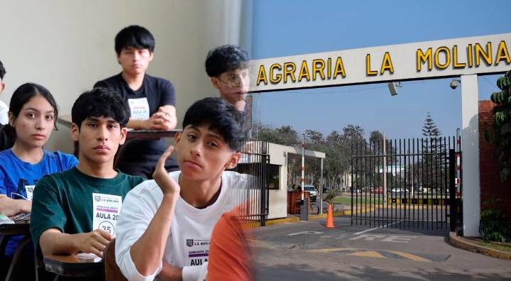 Resultados simulacro del examen de admisión UNALM 2026- I: Link para ver el puntaje obtenido