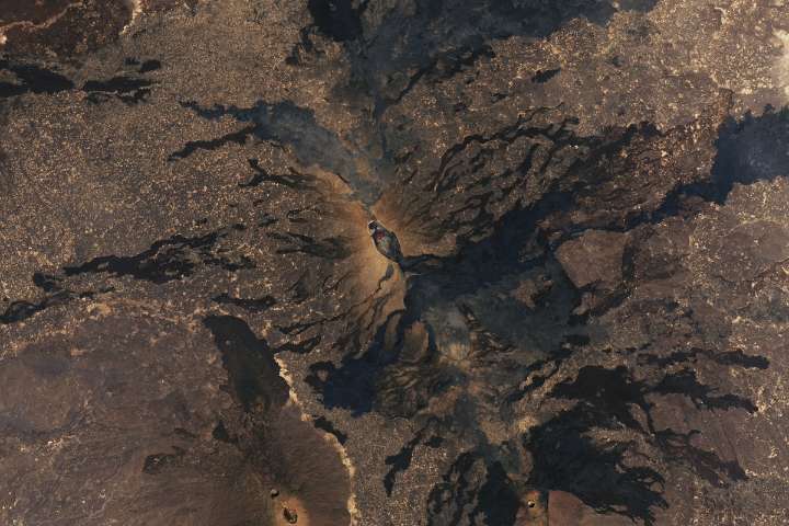 Hayli Gubbi Volcano Erupts in Ethiopia for First Time in More Than 12,000 Years