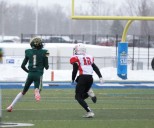 Eldred falls in eight-man state football championship game