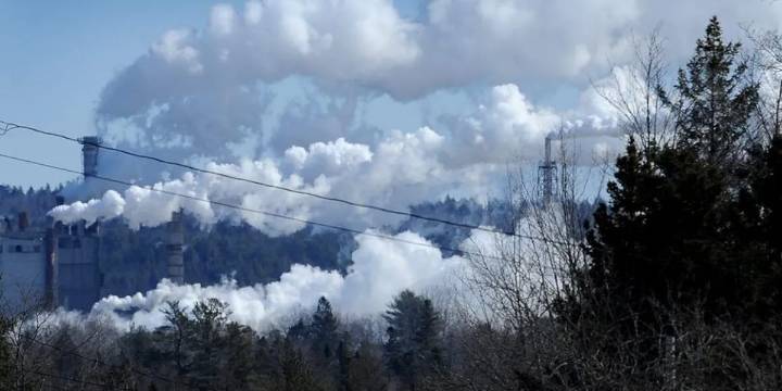 Woodland Pulp pausing mill operations until end of December