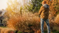 12 Fall Garden Mistakes That Are Hurting Your Perennials' Chances Of A Successful Spring