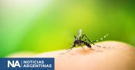 Un nuevo virus transmitido por mosquitos fue detectado en España