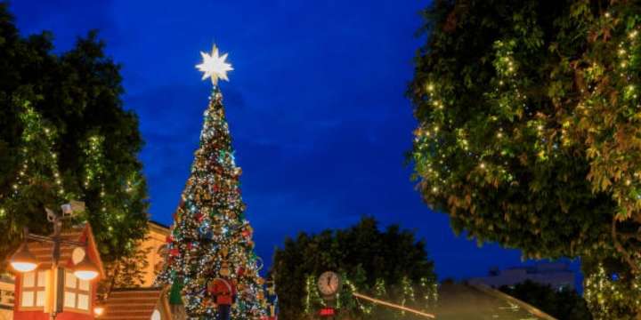 Navidad 2025: menos brillo, más emoción y conexión con el hogar