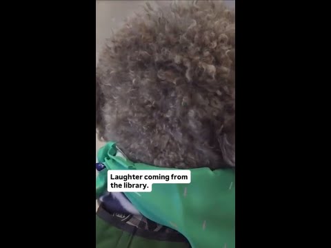 CSU San Marcos celebrates therapy dog's birthday, growing impact on campus