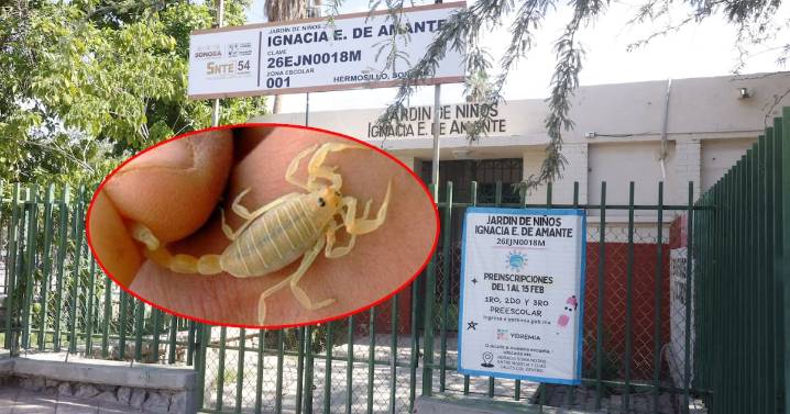 SEC informa que preescolar donde murió niña por picadura de alacrán permanece cerrado