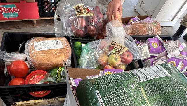 'My only income is disability': Birmingham woman faces uncertainty over SNAP benefits