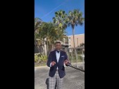 Watch out for falling iguanas! What to know when you see the reptiles in cold weather